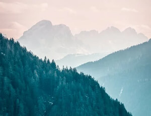 国安将迎战恒大，双方是否能取得胜利？