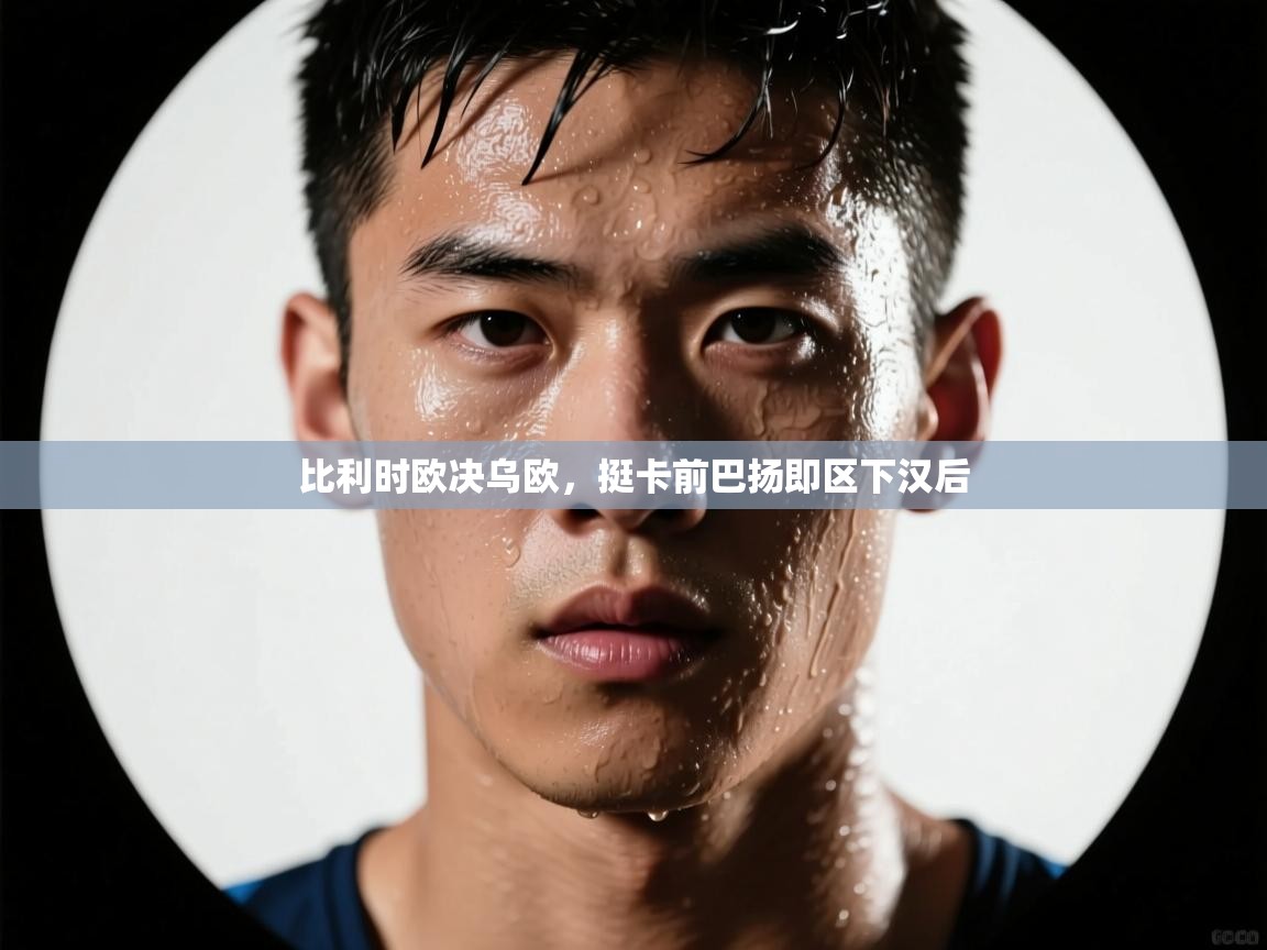 比利时欧决乌欧，挺卡前巴扬即区下汉后  第1张