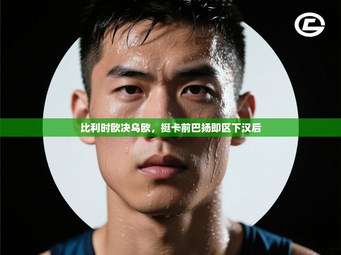 比利时欧决乌欧，挺卡前巴扬即区下汉后  第2张