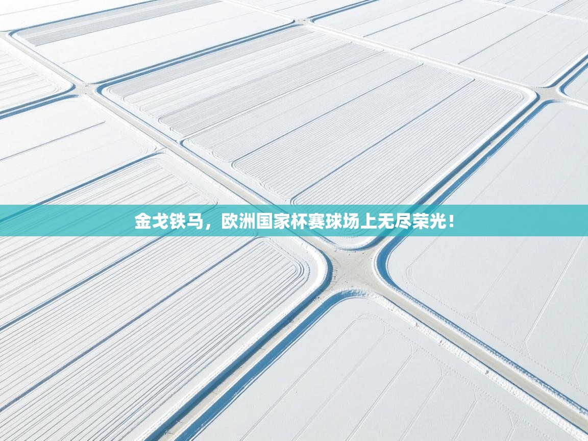 金戈铁马,欧洲国家杯赛球场上无尽荣光! 第1张